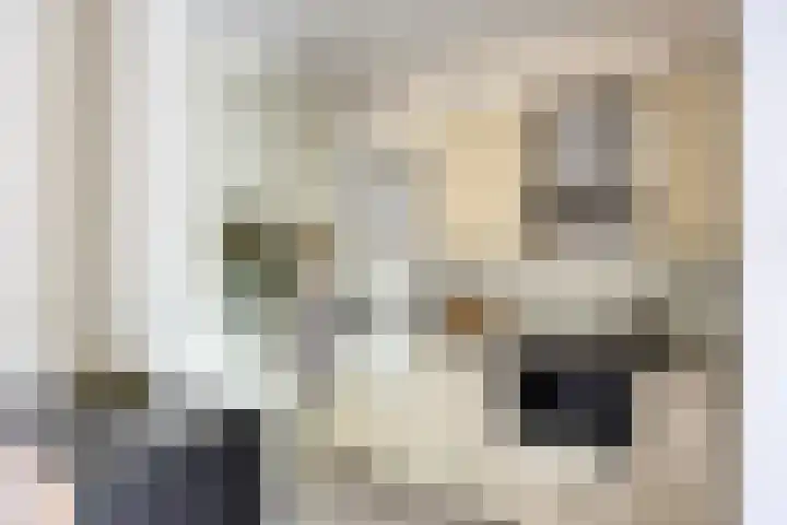 Cornelis Dopperstraat 26 Eindhoven thumbnail 17