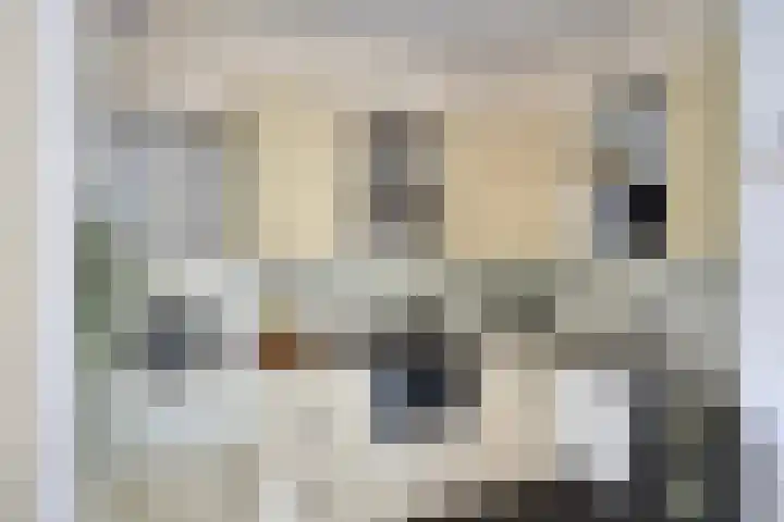 Cornelis Dopperstraat 26 Eindhoven thumbnail 18