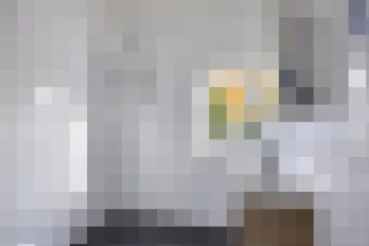 Cornelis Dopperstraat 26 Eindhoven thumbnail 25