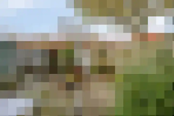 Cornelis Dopperstraat 26 Eindhoven thumbnail 30