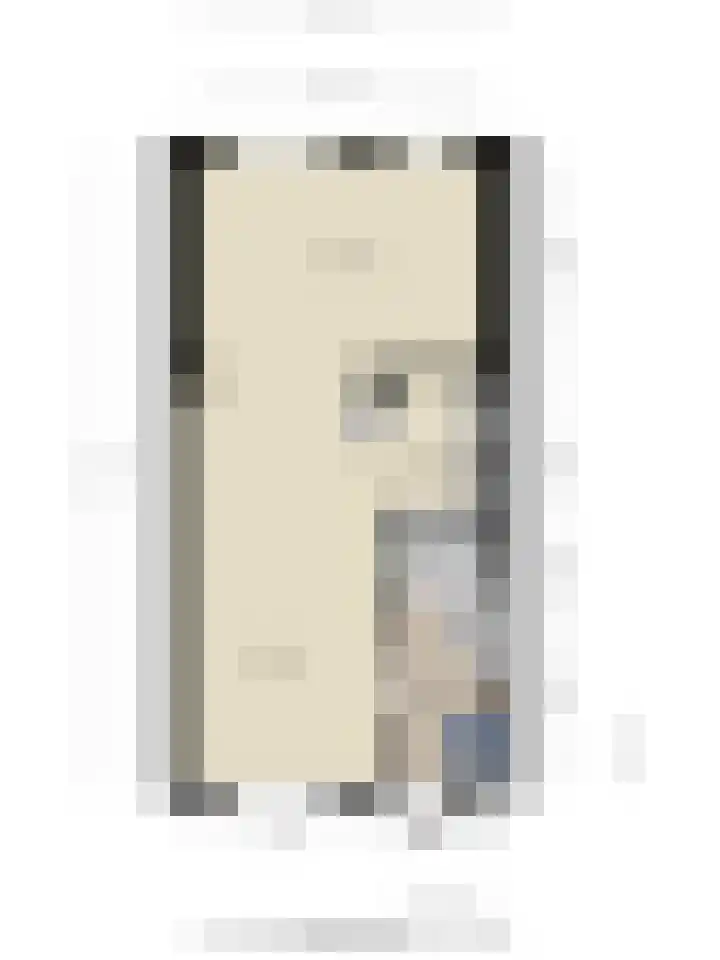 Cornelis Dopperstraat 26 Eindhoven thumbnail 37