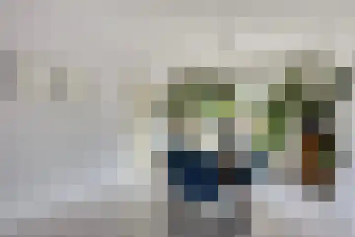 Cornelis Dopperstraat 26 Eindhoven thumbnail 9