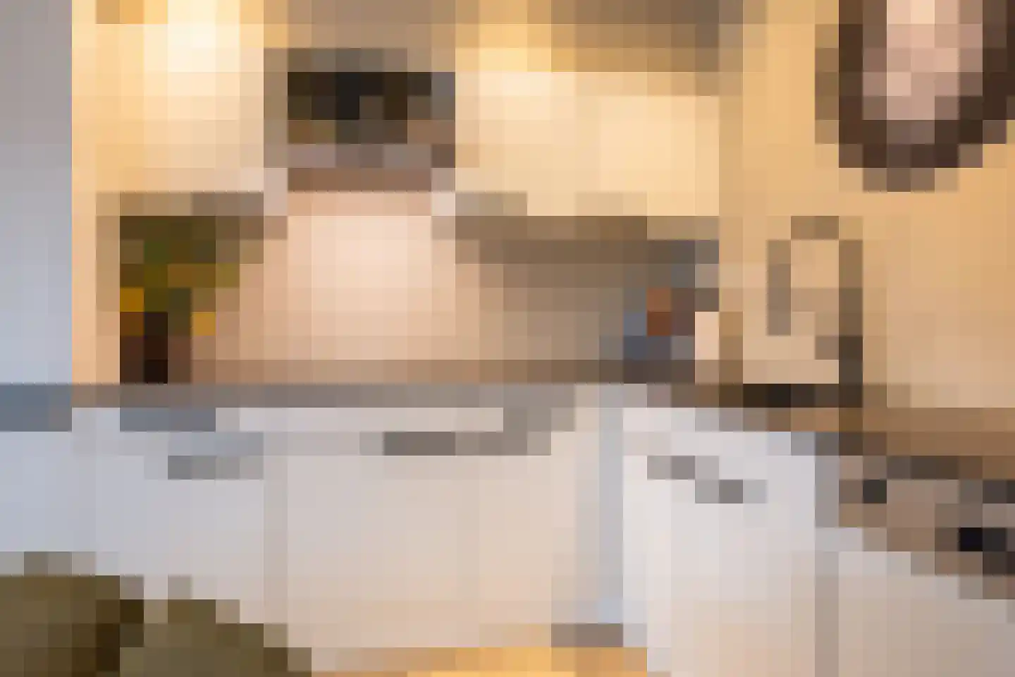 Cornelis Dopperstraat 37 Hengelo thumbnail 13