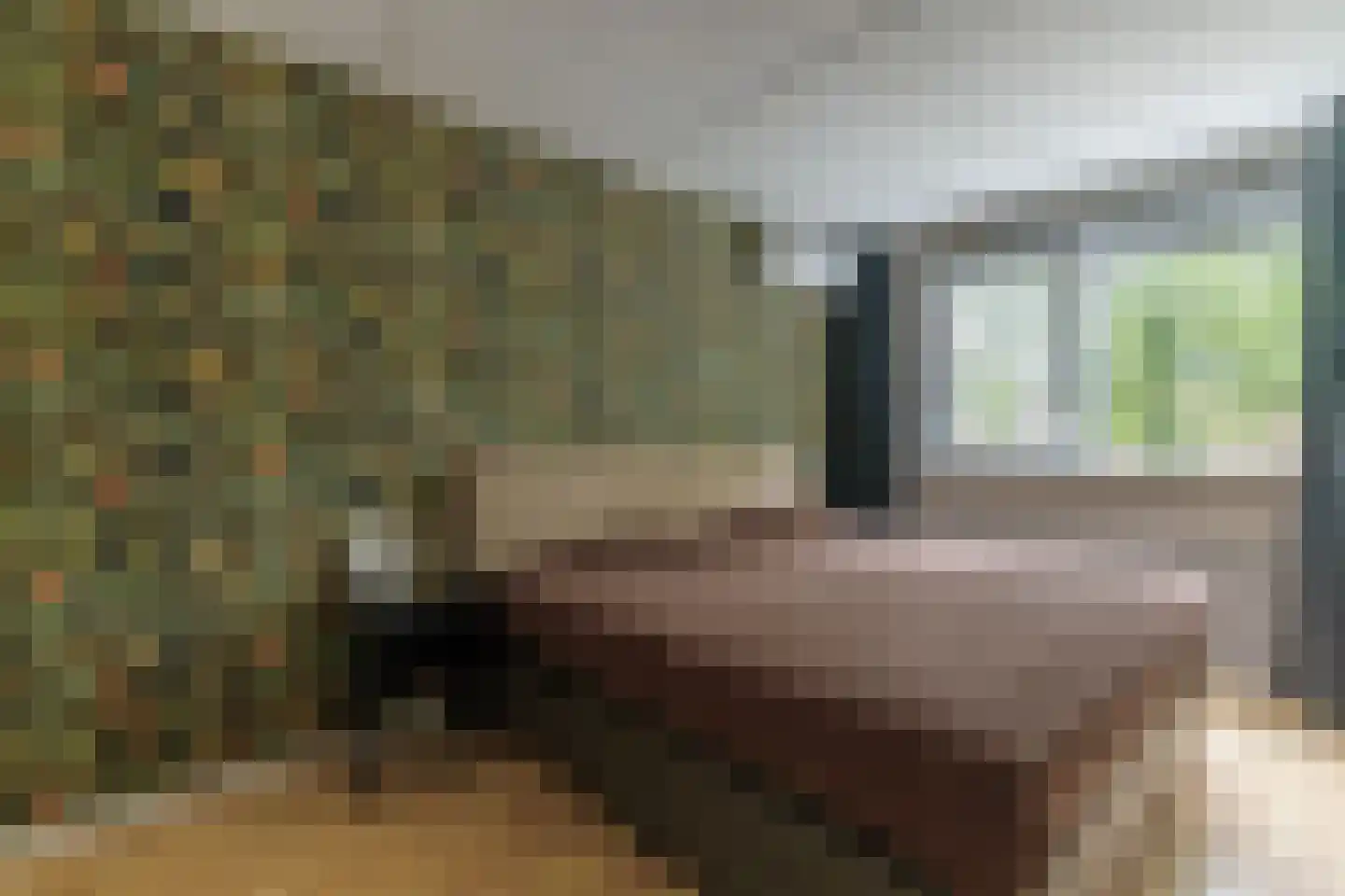 Cornelis Dopperstraat 37 Hengelo thumbnail 20