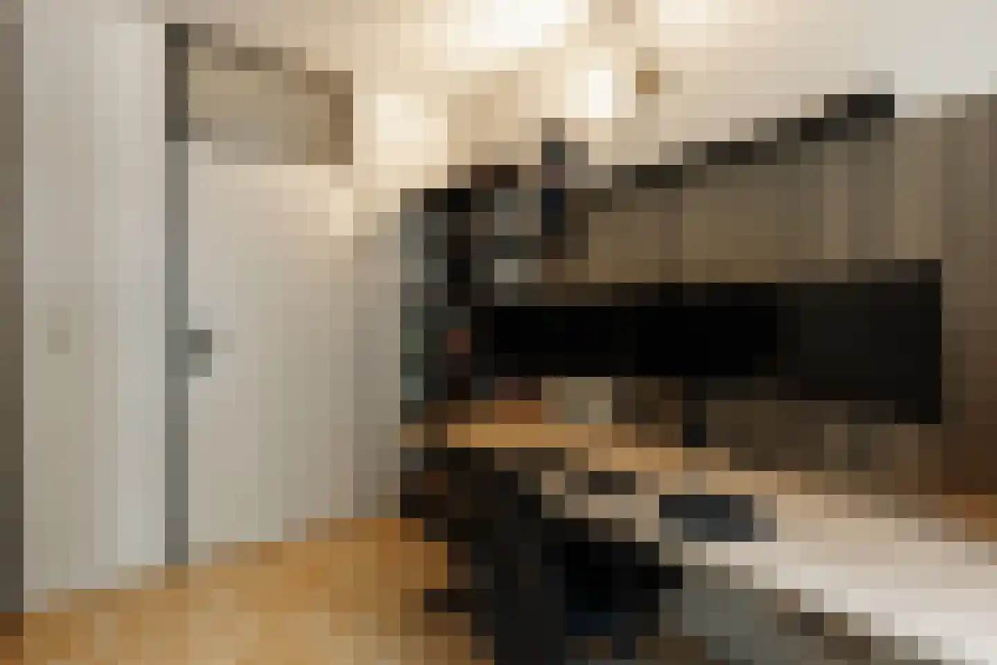 Cornelis Dopperstraat 37 Hengelo thumbnail 27