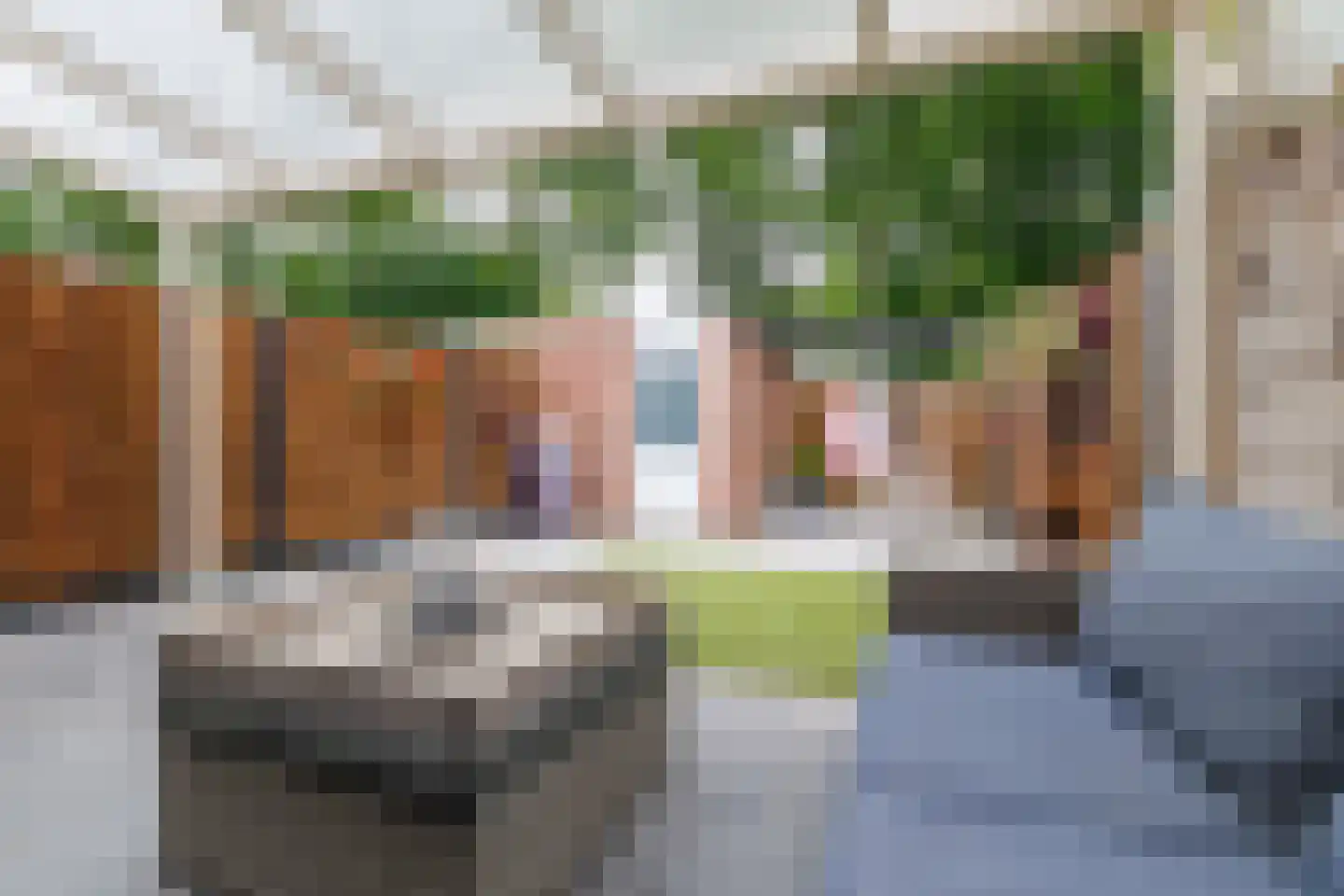 Cornelis Dopperstraat 37 Hengelo thumbnail 40