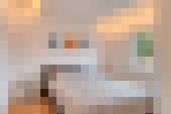 Cornelis Dopperstraat 42 Eindhoven thumbnail 17