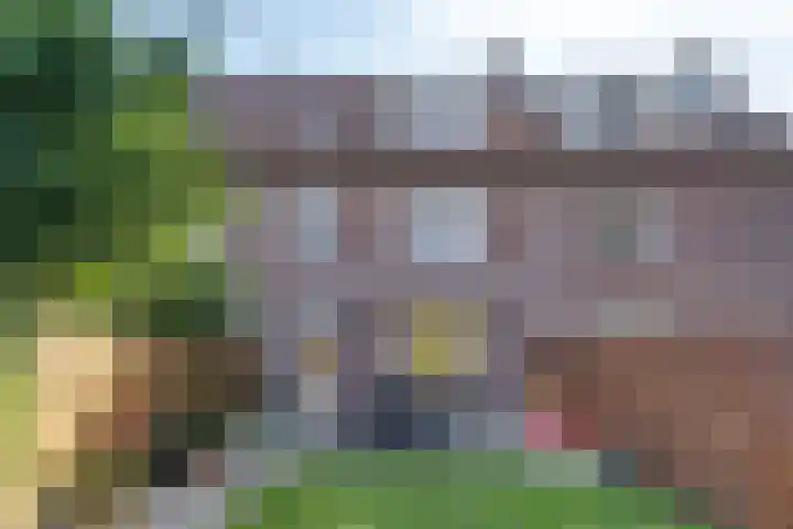 Cornelis Dopperstraat 42 Eindhoven thumbnail 27