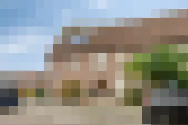 Cornelis Dopperstraat 42 Eindhoven thumbnail 29