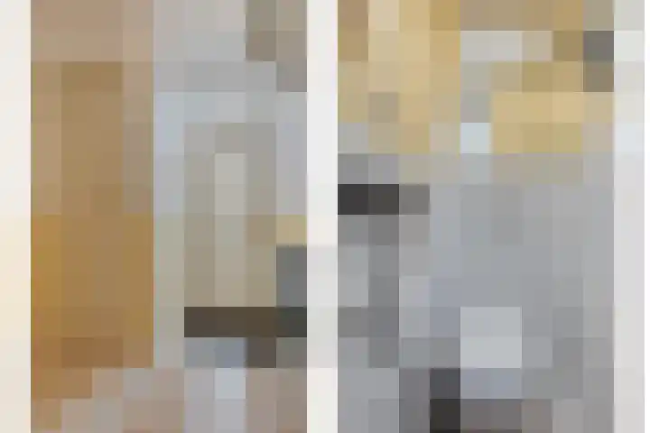 Cornelis Dopperstraat 42 Eindhoven thumbnail 5