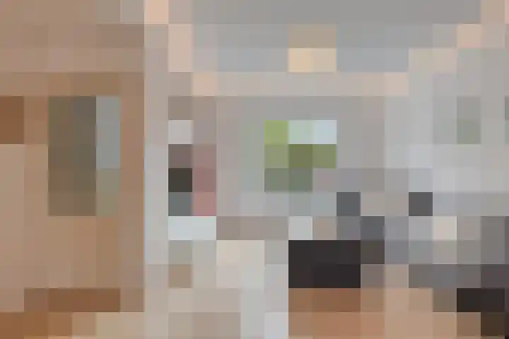 Cornelis Dopperstraat 42 Eindhoven thumbnail 6