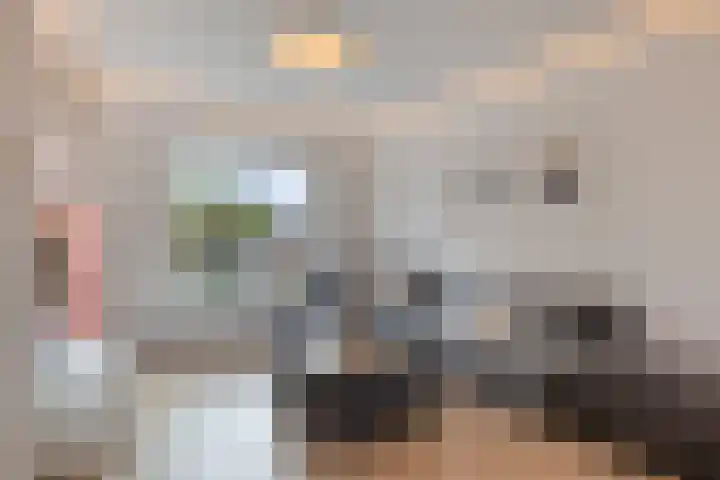 Cornelis Dopperstraat 42 Eindhoven thumbnail 7