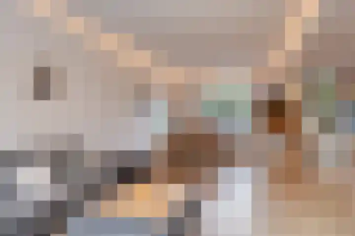 Cornelis Dopperstraat 42 Eindhoven thumbnail 8