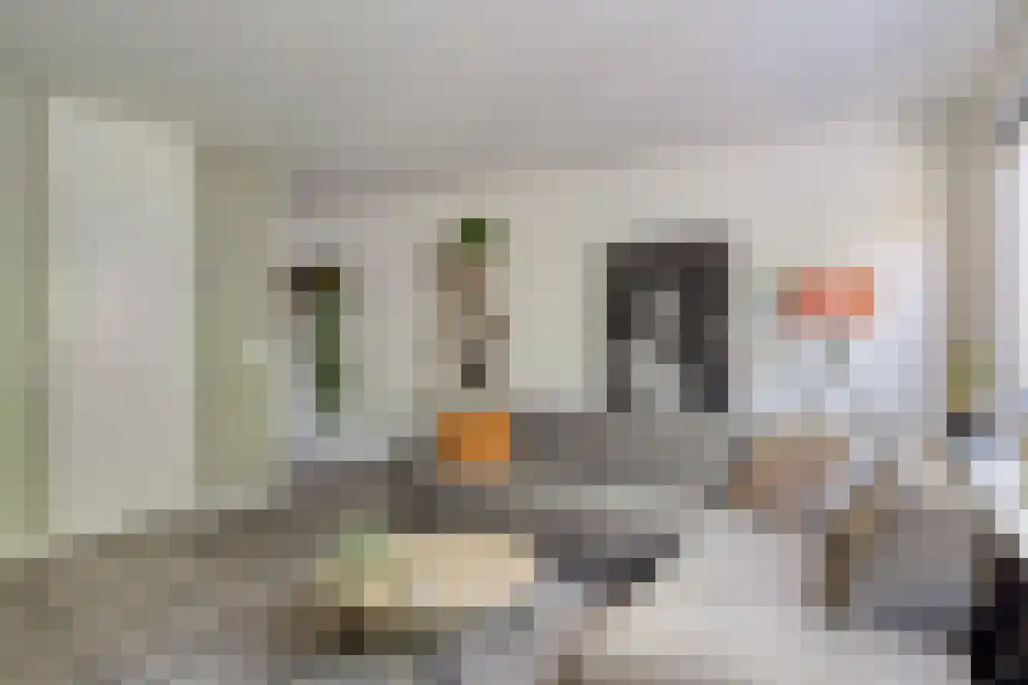 Cornelis Dopperstraat 50 Hengelo thumbnail 15