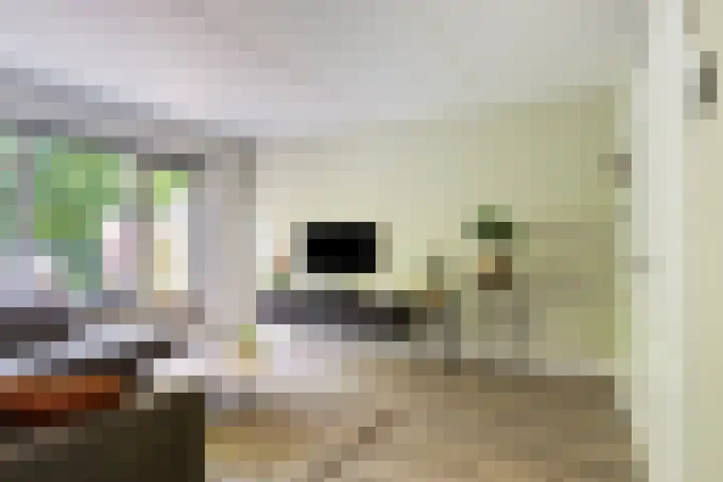 Cornelis Dopperstraat 50 Hengelo thumbnail 16