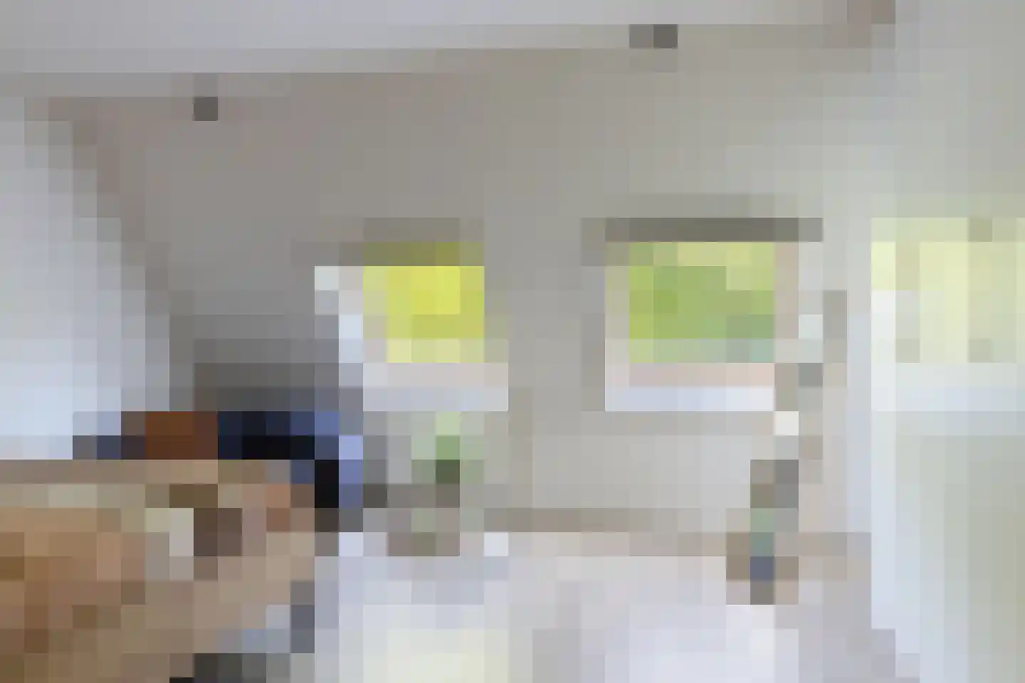 Cornelis Dopperstraat 50 Hengelo thumbnail 22