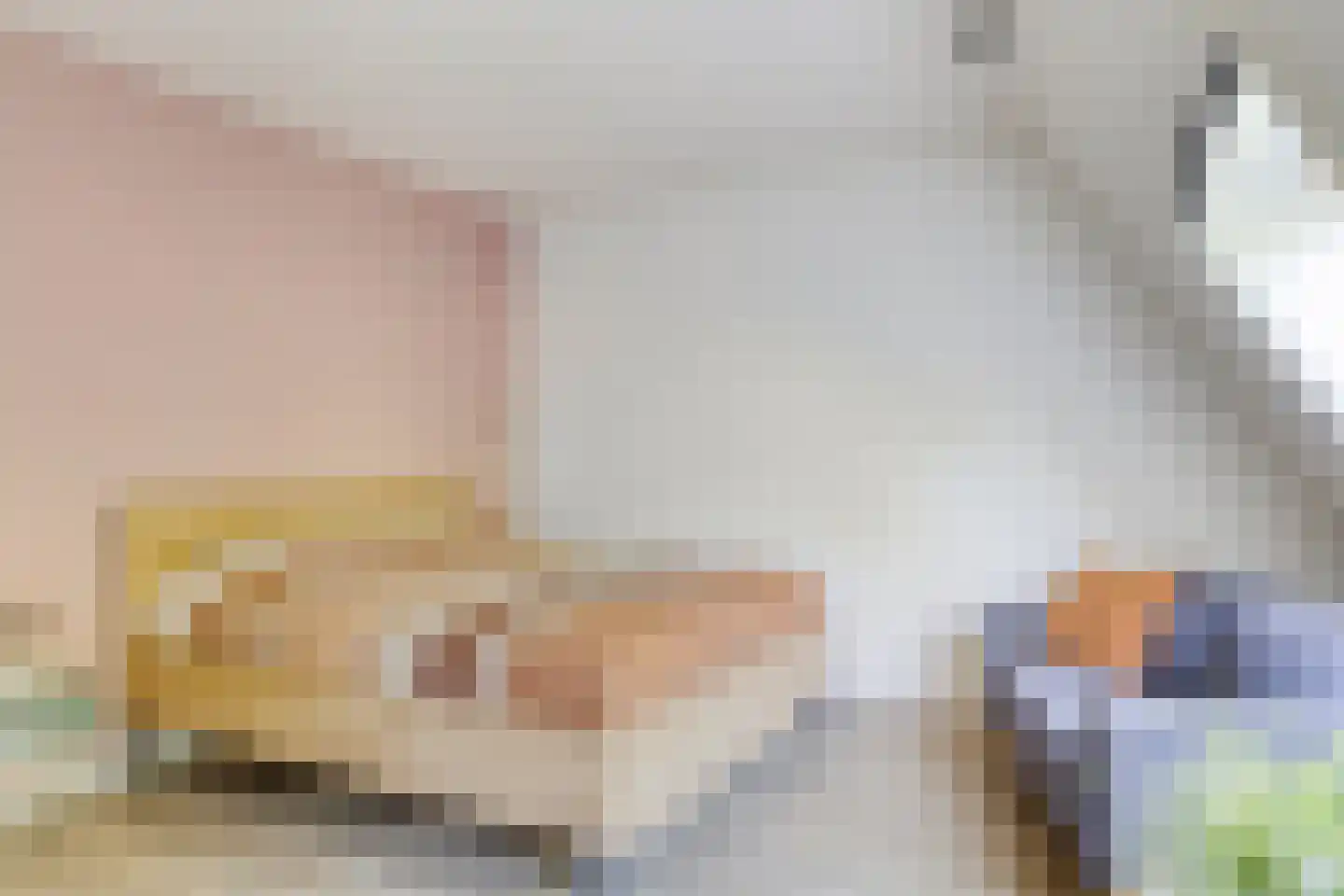 Cornelis Dopperstraat 50 Hengelo thumbnail 23