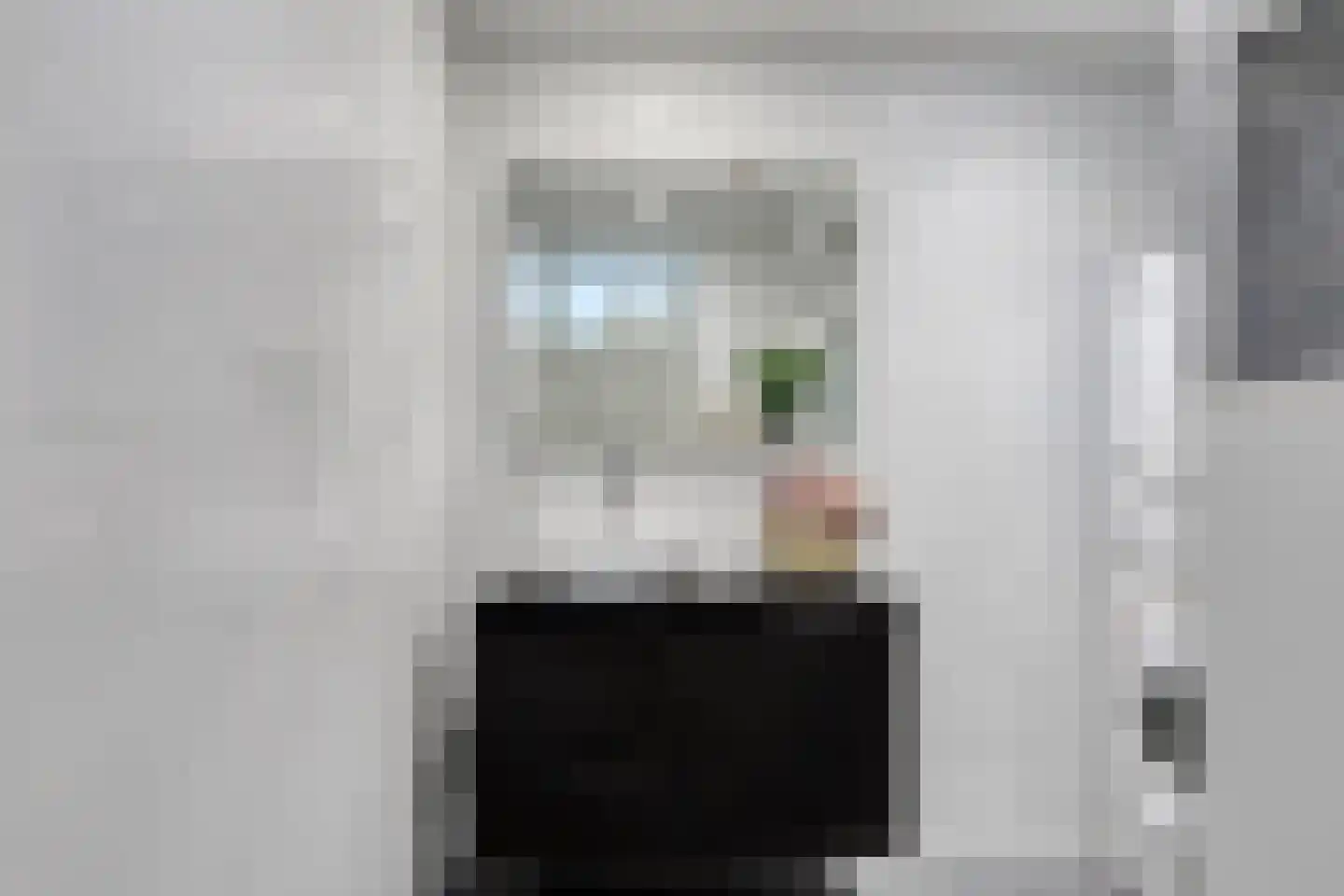 Cornelis Dopperstraat 50 Hengelo thumbnail 26
