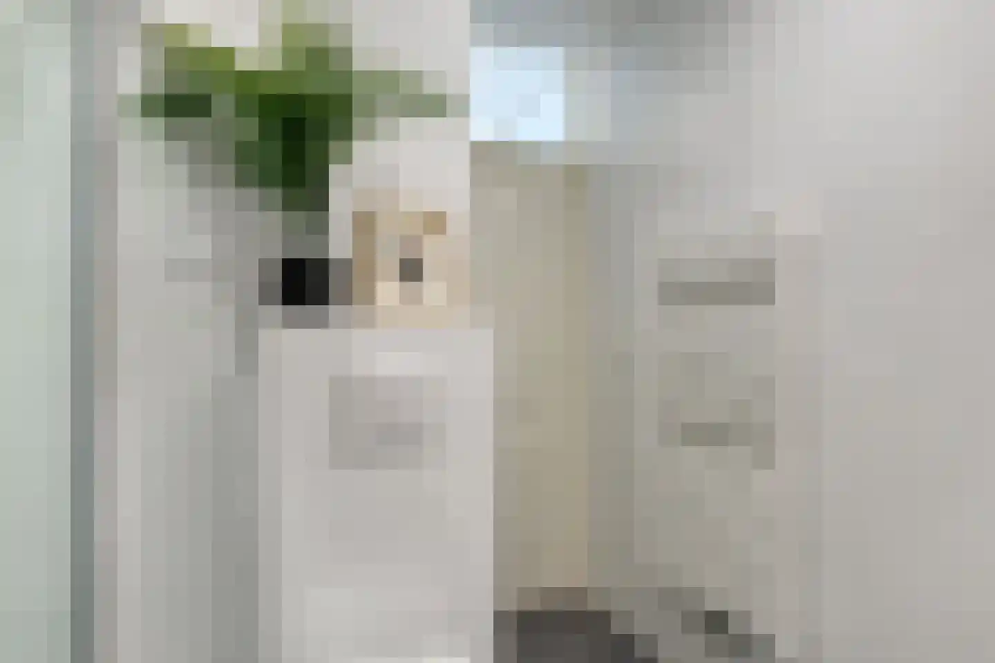 Cornelis Dopperstraat 50 Hengelo thumbnail 27