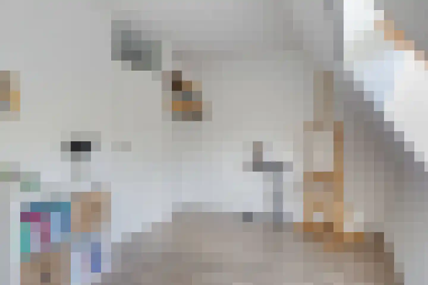 Cornelis Dopperstraat 50 Hengelo thumbnail 31