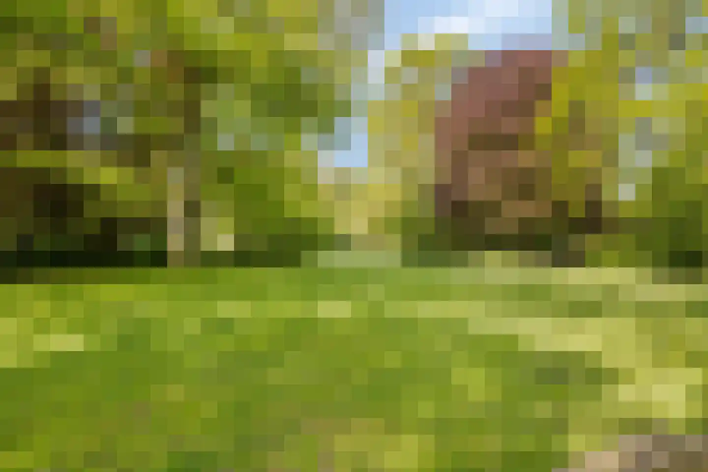 Cornelis Dopperstraat 50 Hengelo thumbnail 39