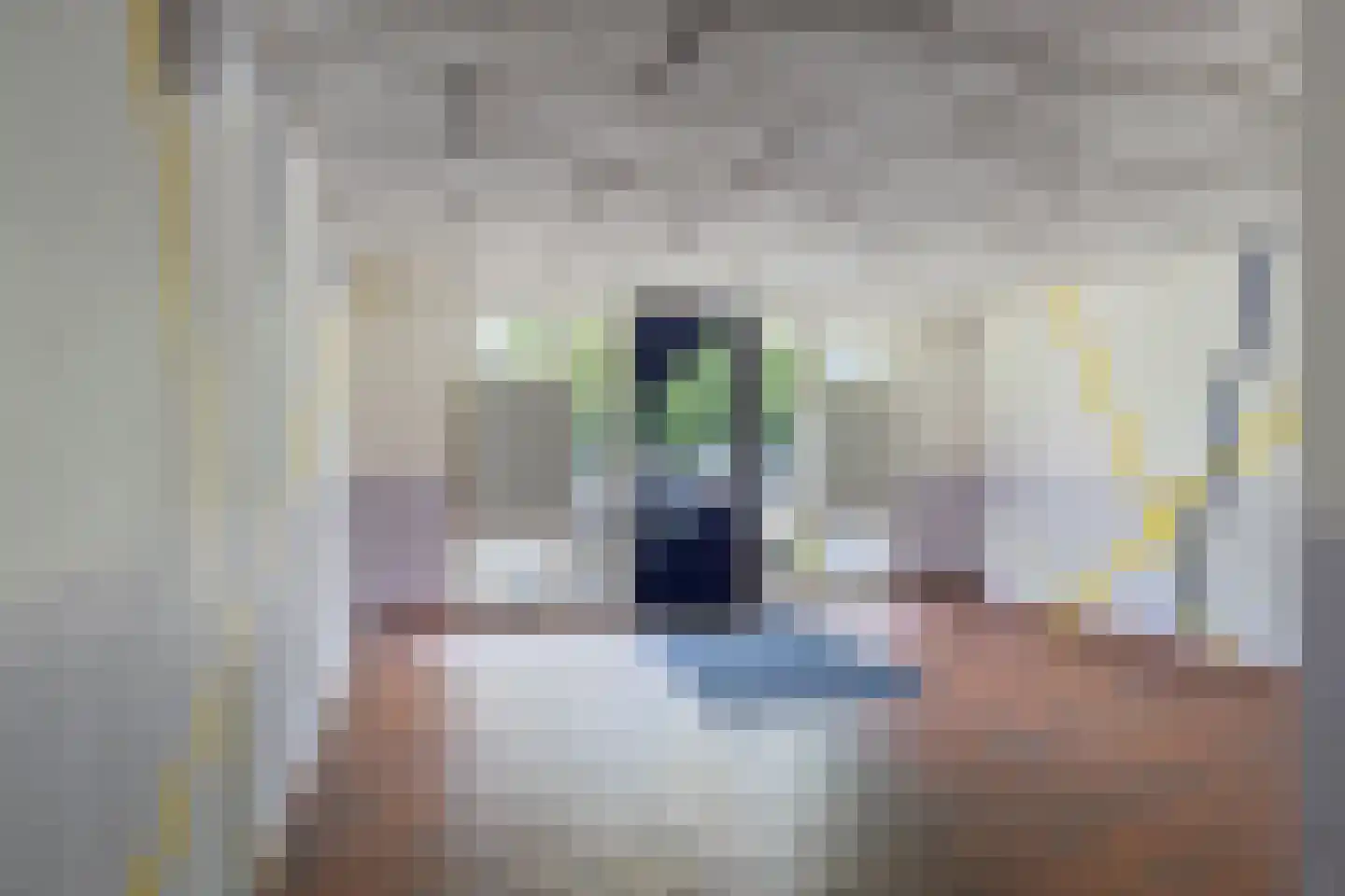 Cornelis Dopperstraat 50 Hengelo thumbnail 9