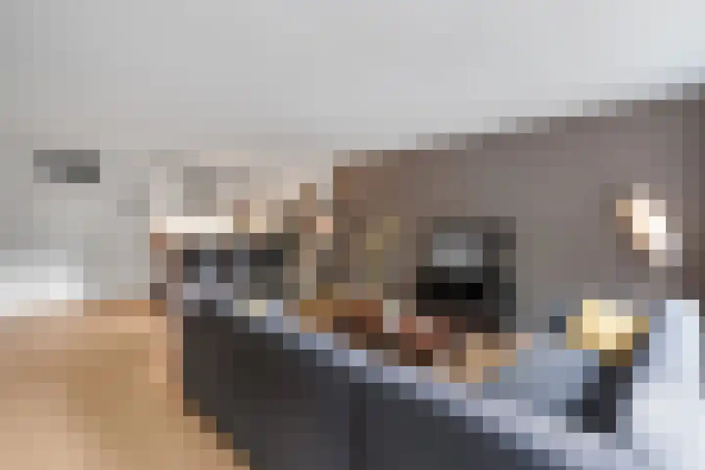 Cornelis Dopperstraat 6 Hengelo thumbnail 11