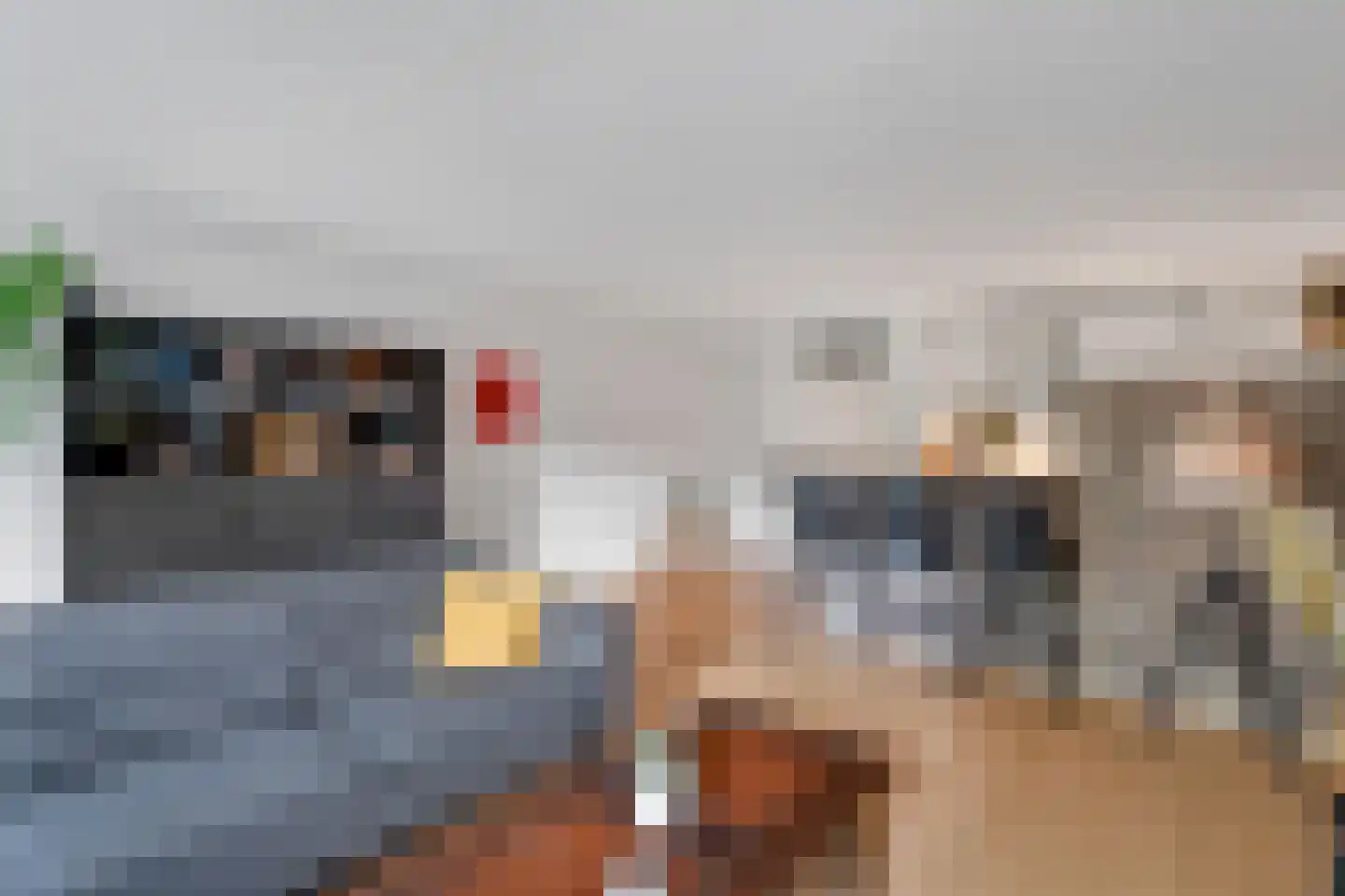 Cornelis Dopperstraat 6 Hengelo thumbnail 13