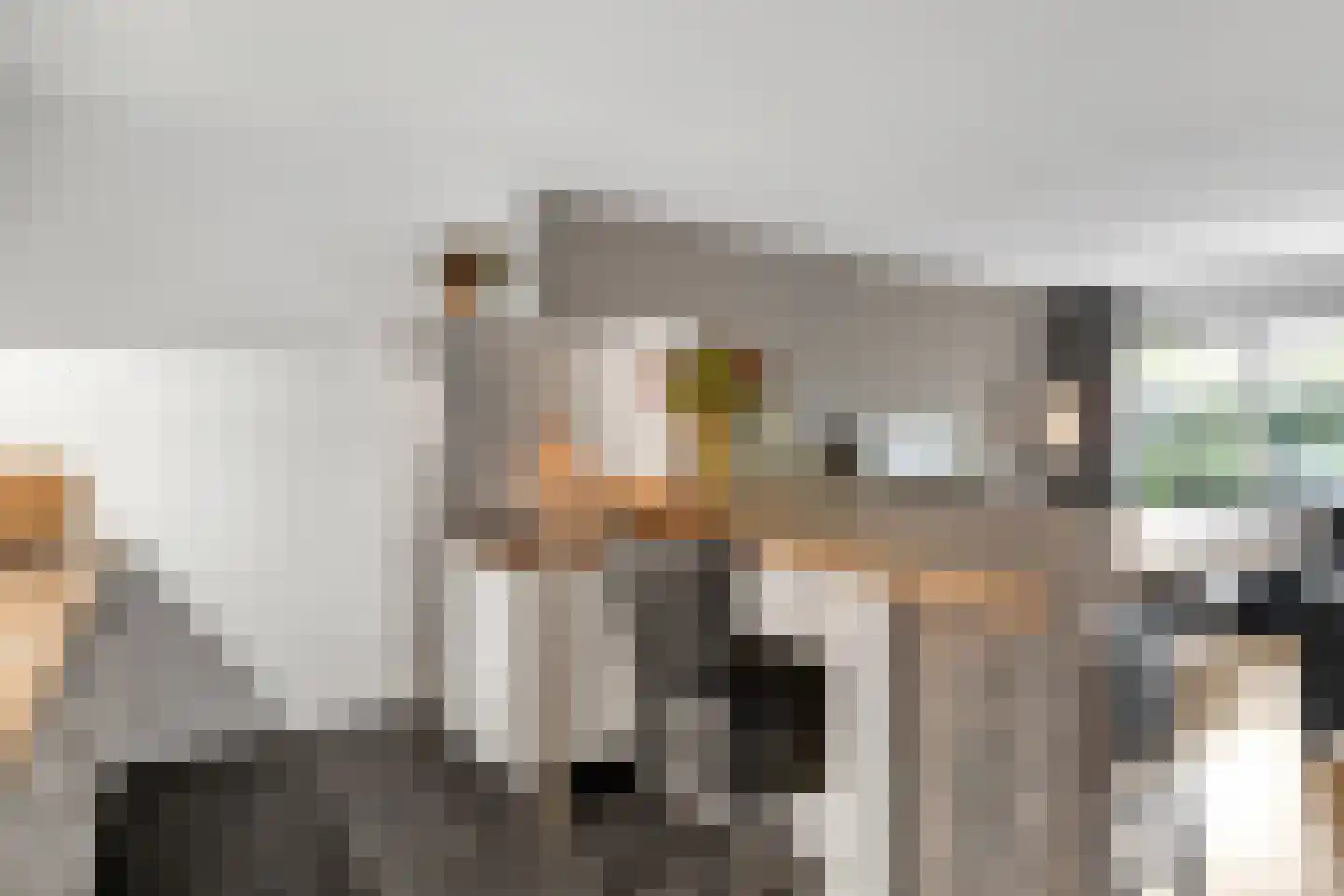 Cornelis Dopperstraat 6 Hengelo thumbnail 16