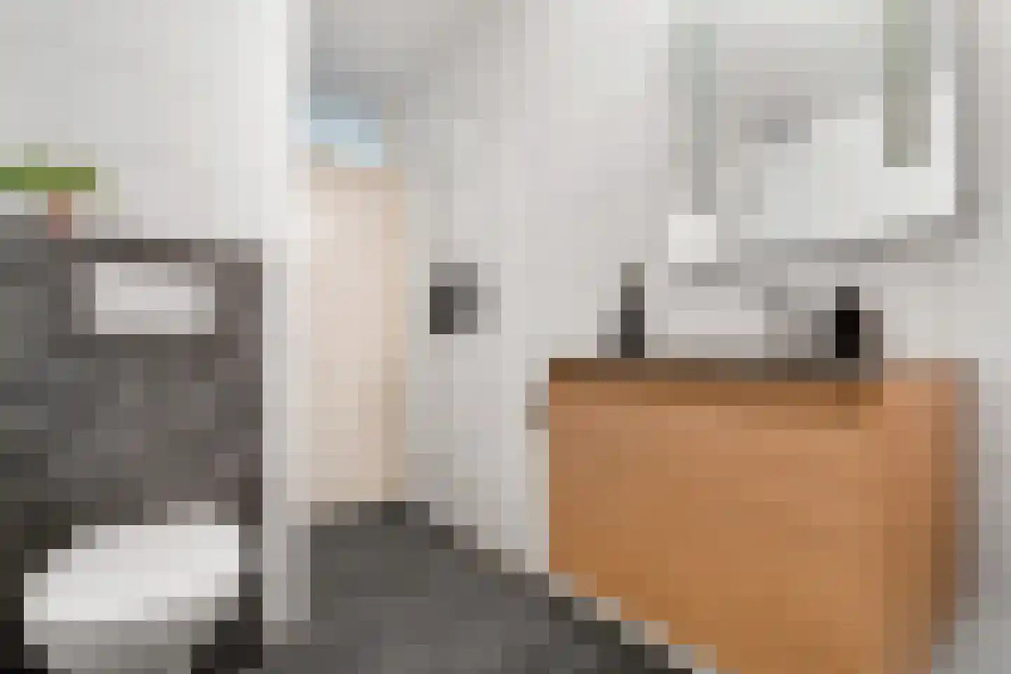 Cornelis Dopperstraat 6 Hengelo thumbnail 20