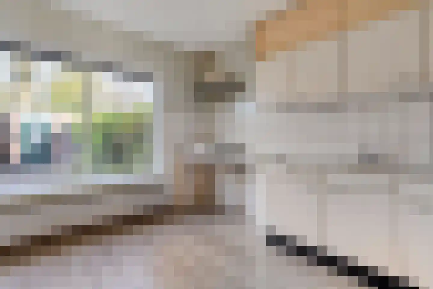 Cornelis Dopperstraat 65 Hengelo thumbnail 15
