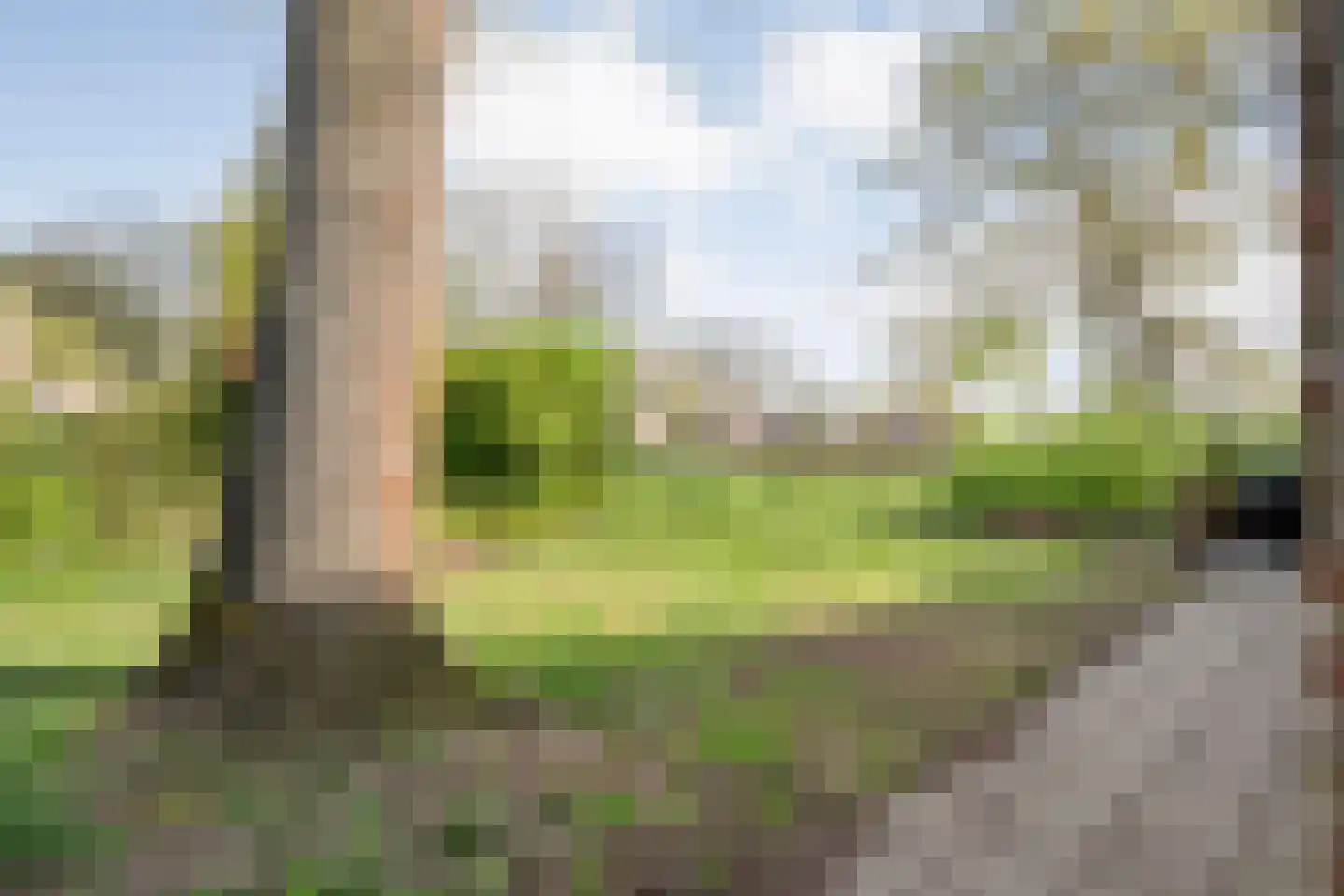 Cornelis Dopperstraat 65 Hengelo thumbnail 35