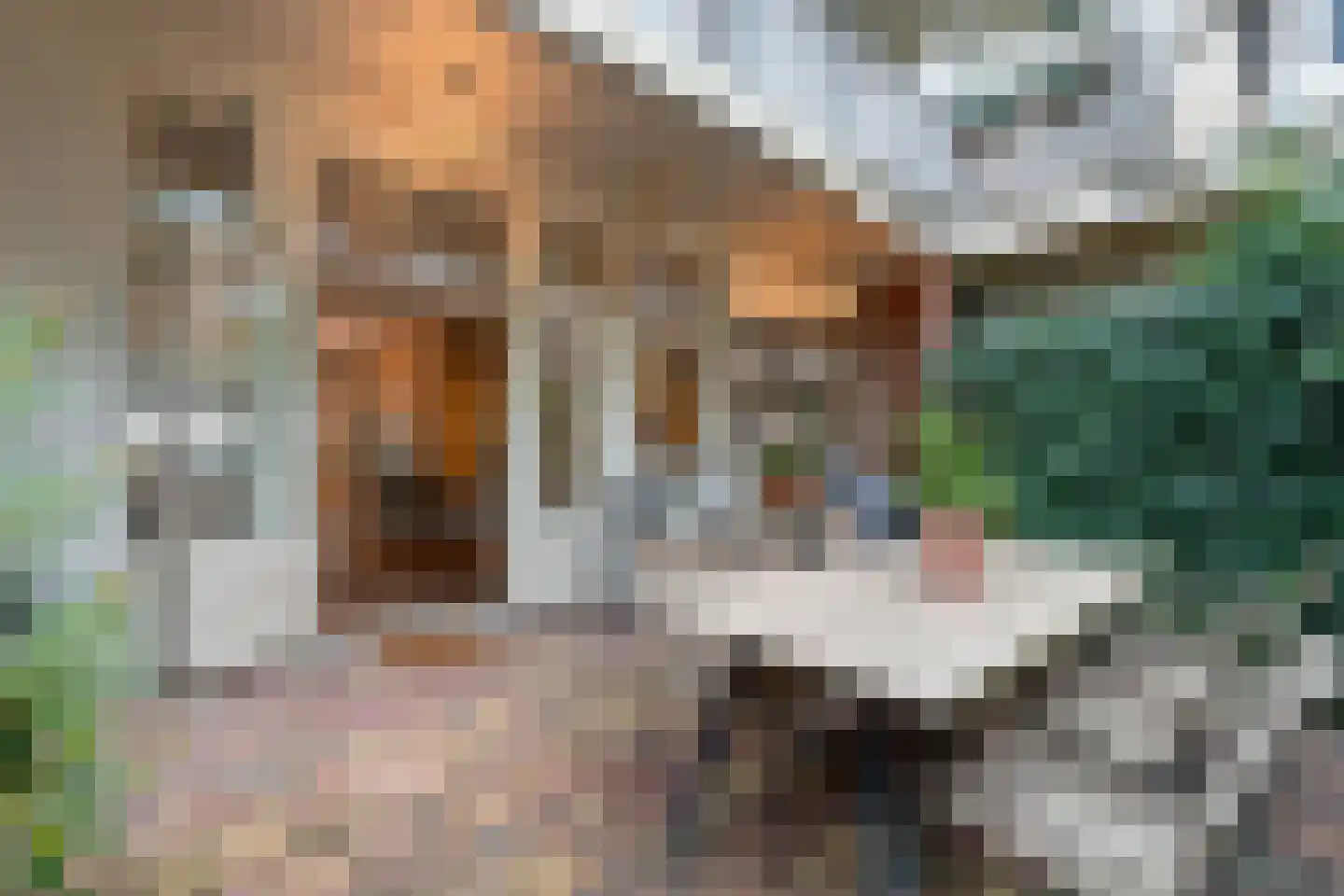 Cornelis Drebbelstraat 10 H Amsterdam thumbnail 27