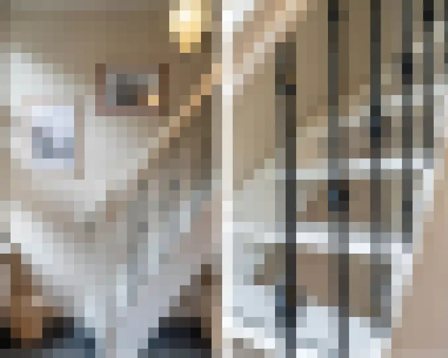 Cornelis Drebbelstraat 10 H Amsterdam thumbnail 35