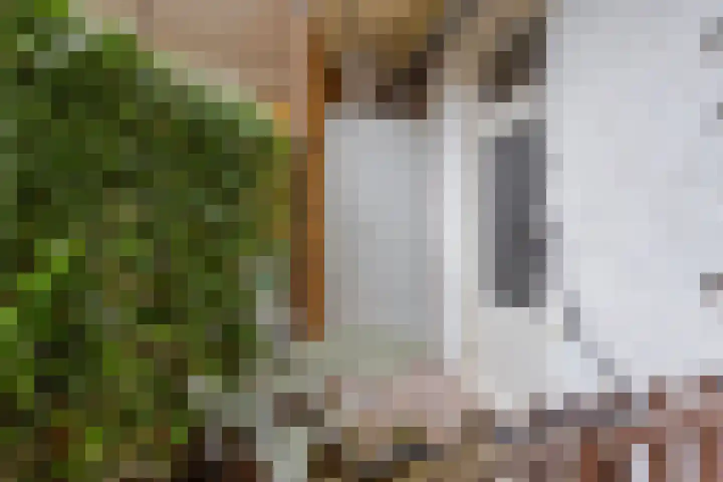 Cornelis Drebbelstraat 12 1 Amsterdam thumbnail 21