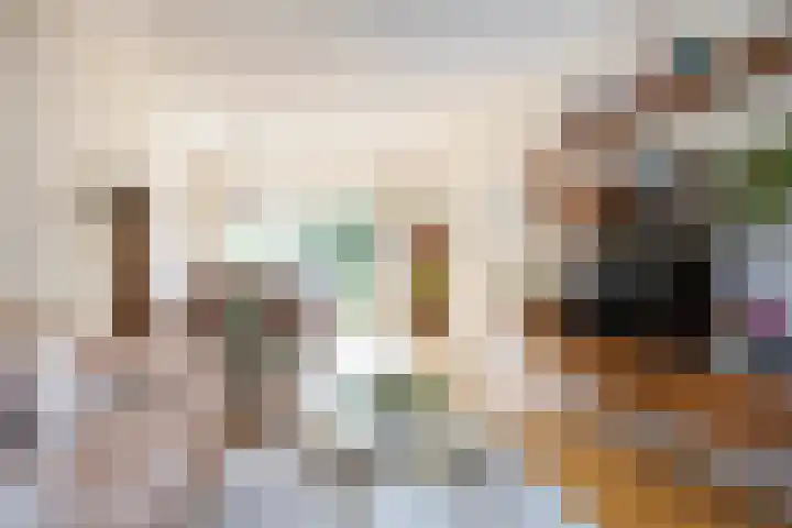 Cornelis Drebbelstraat 17 Utrecht thumbnail 19
