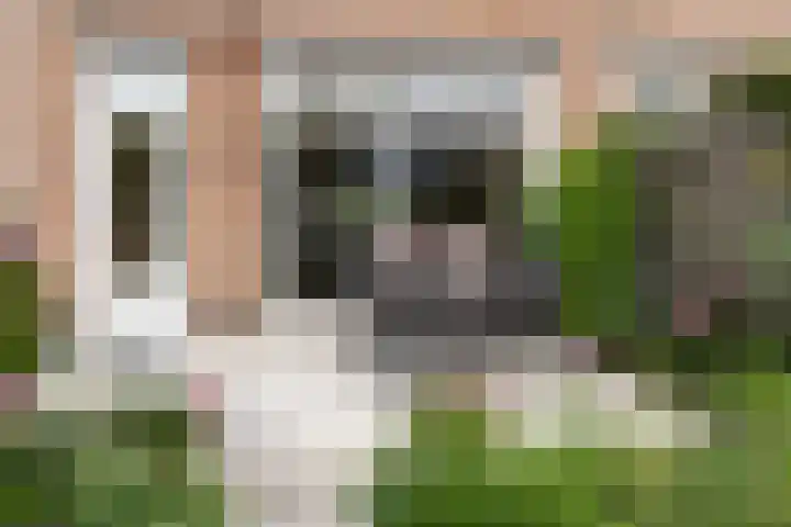 Cornelis Drebbelstraat 17 Utrecht thumbnail 47