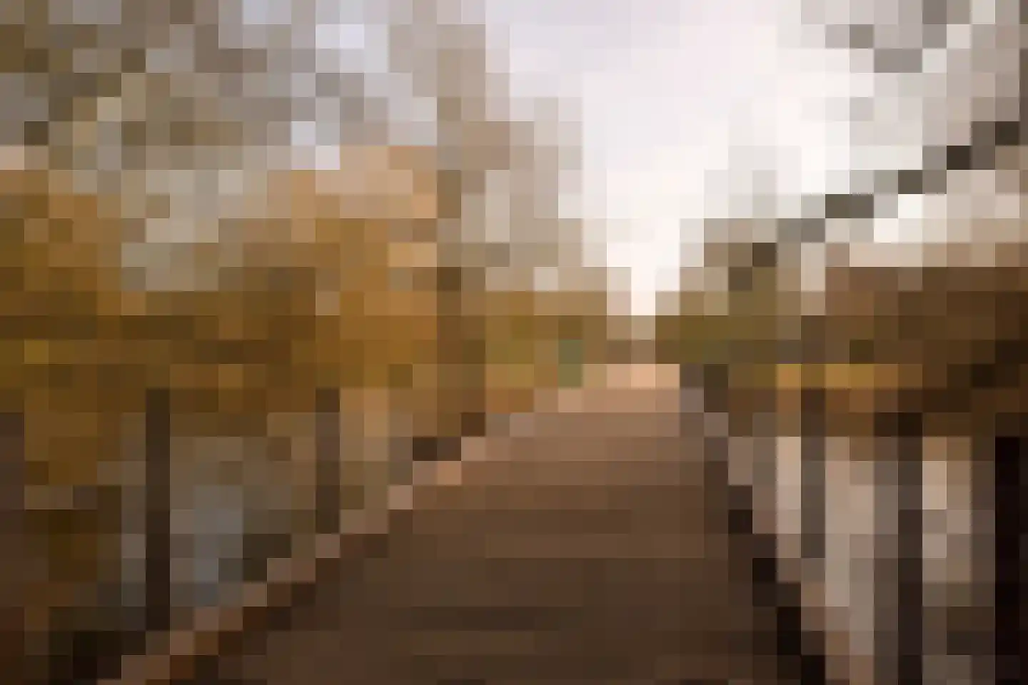 Cornelis Drebbelstraat 24 H Amsterdam thumbnail 27