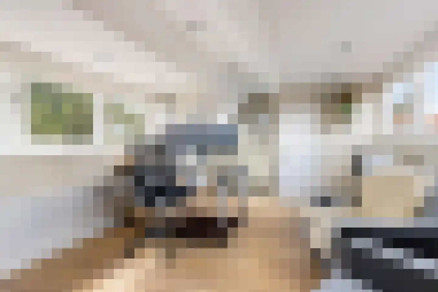 Cornelis Drebbelstraat 33 Hilversum thumbnail 46