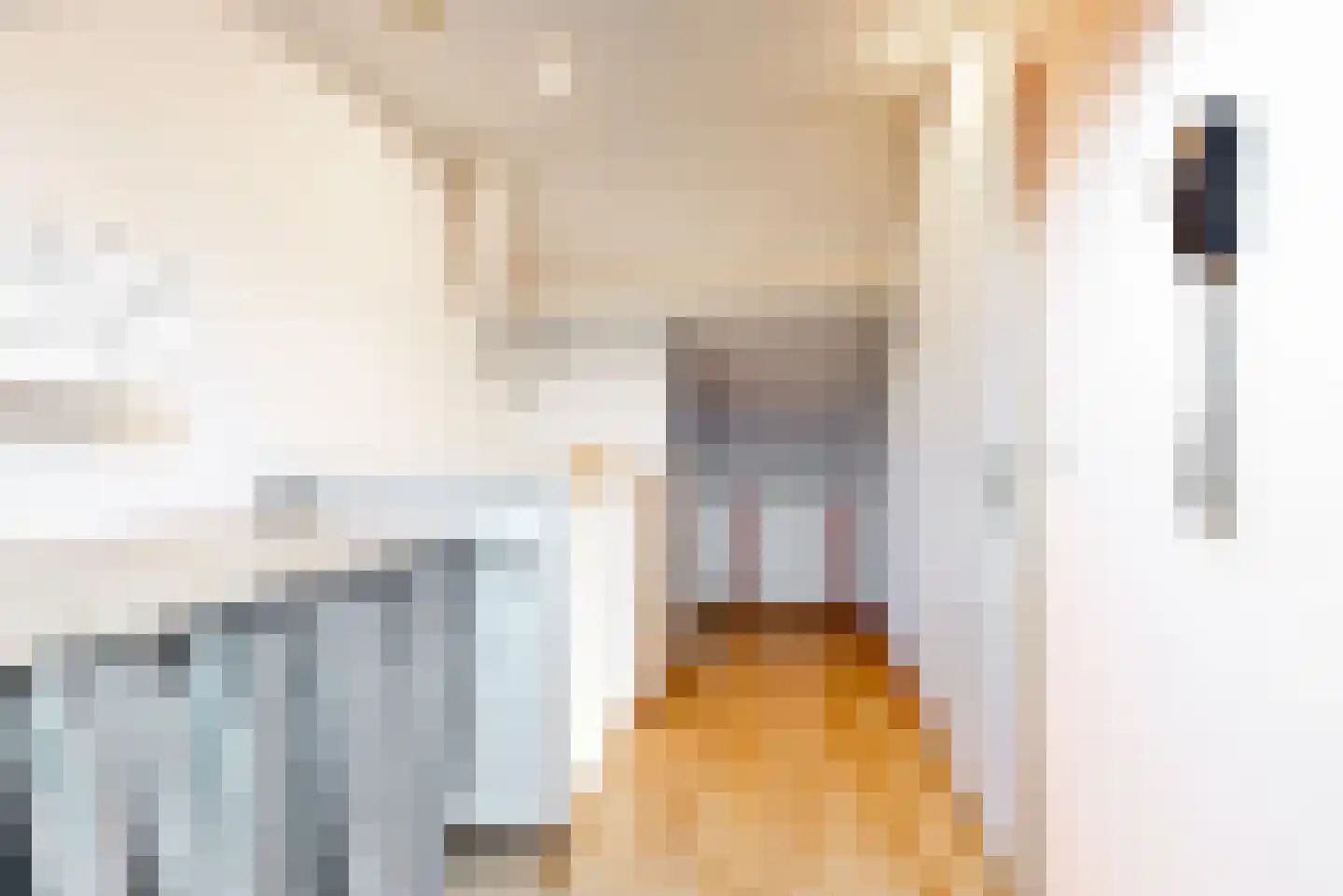 Cornelis Edelmanstraat 32 Purmerend thumbnail 25