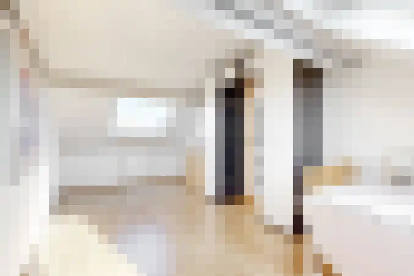 Cornelis Edelmanstraat 32 Purmerend thumbnail 26