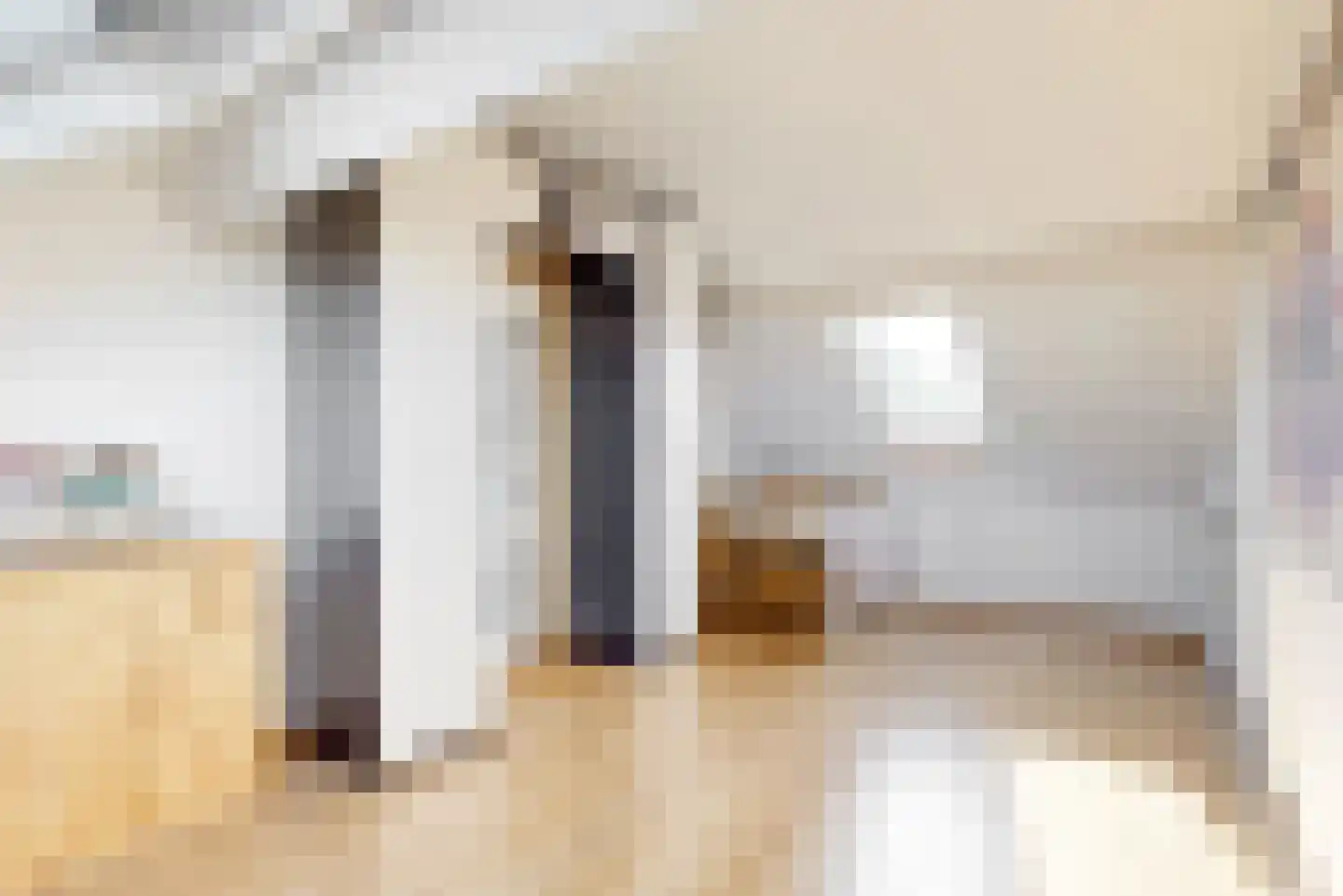 Cornelis Edelmanstraat 32 Purmerend thumbnail 27