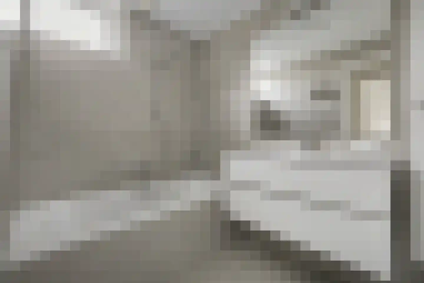 Cornelis Eversdijkstraat 14 Goes thumbnail 14