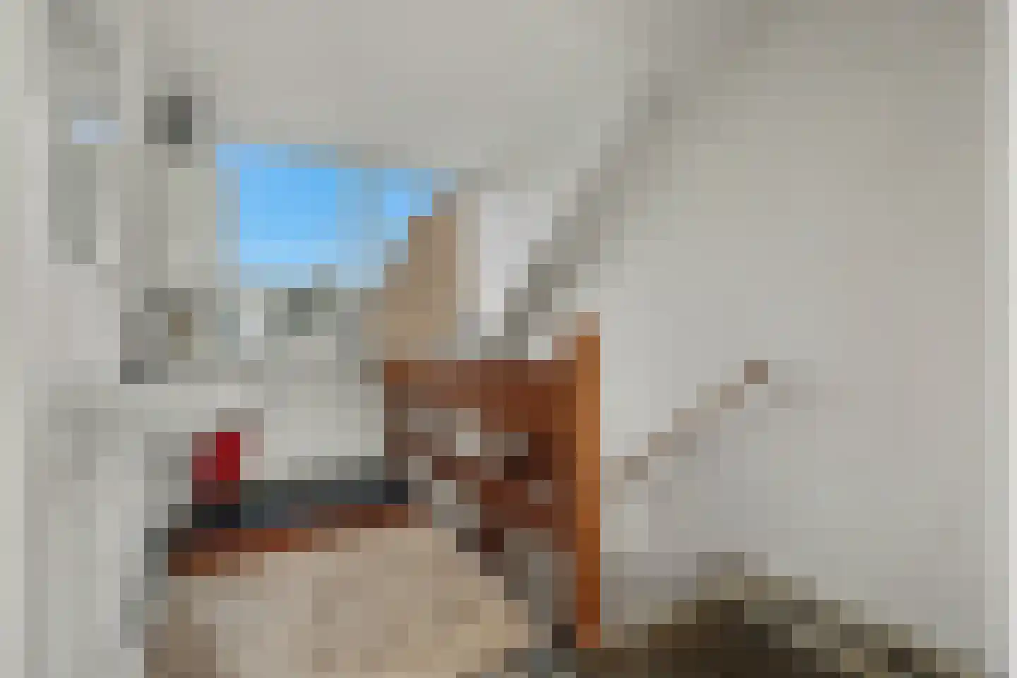 Cornelis Eversdijkstraat 14 Goes thumbnail 17