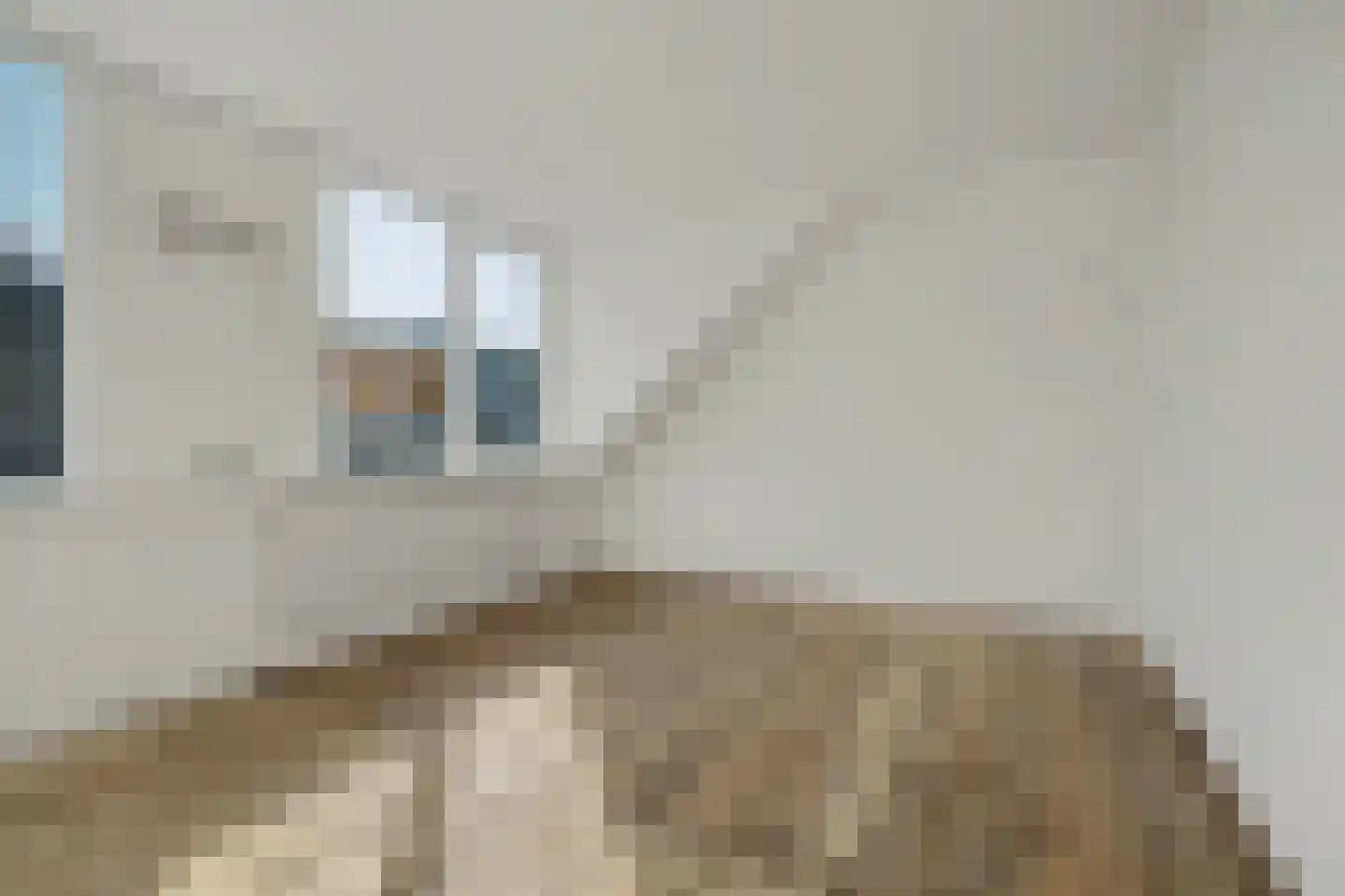 Cornelis Eversdijkstraat 14 Goes thumbnail 18