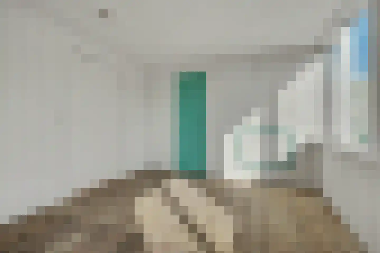 Cornelis Eversdijkstraat 14 Goes thumbnail 19