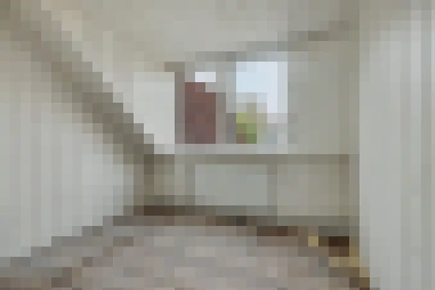 Cornelis Eversdijkstraat 14 Goes thumbnail 20