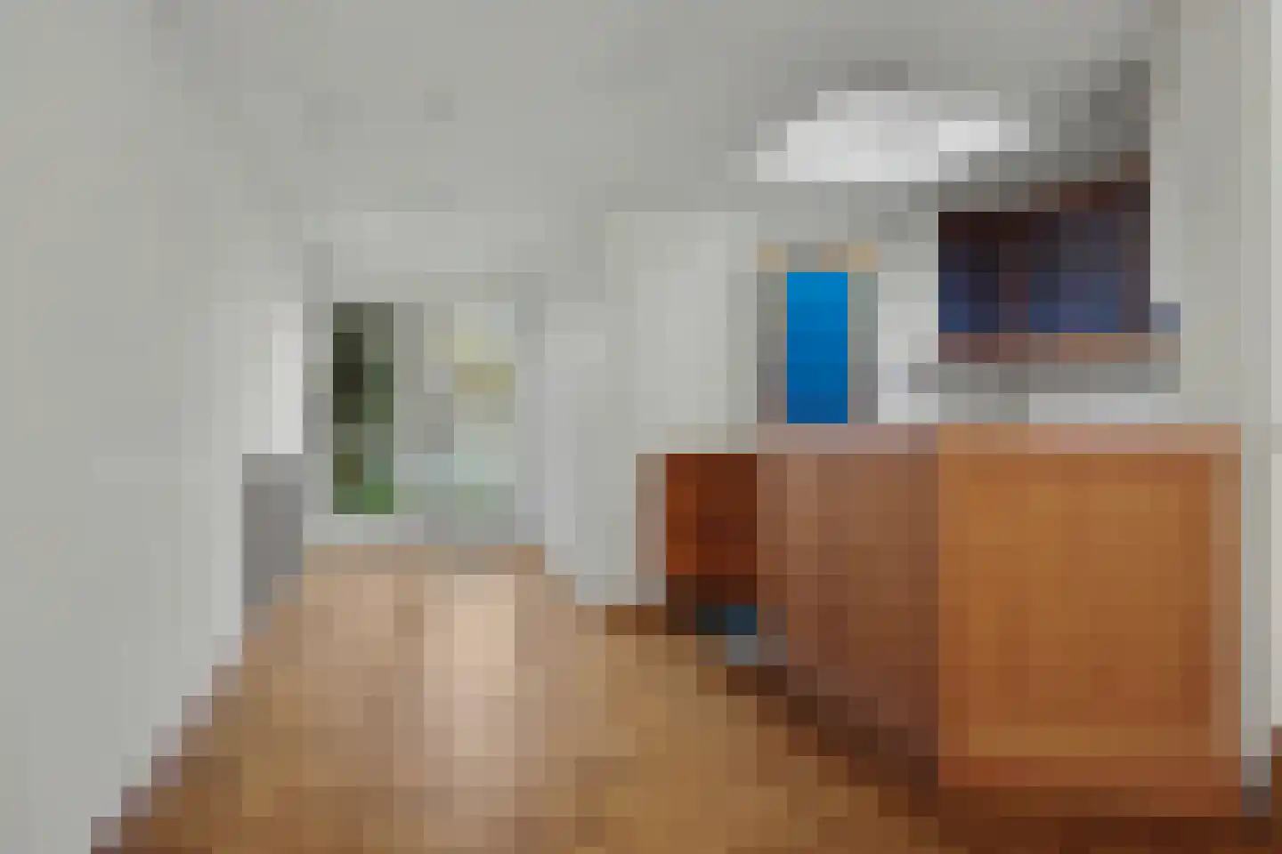 Cornelis Eversdijkstraat 14 Goes thumbnail 21
