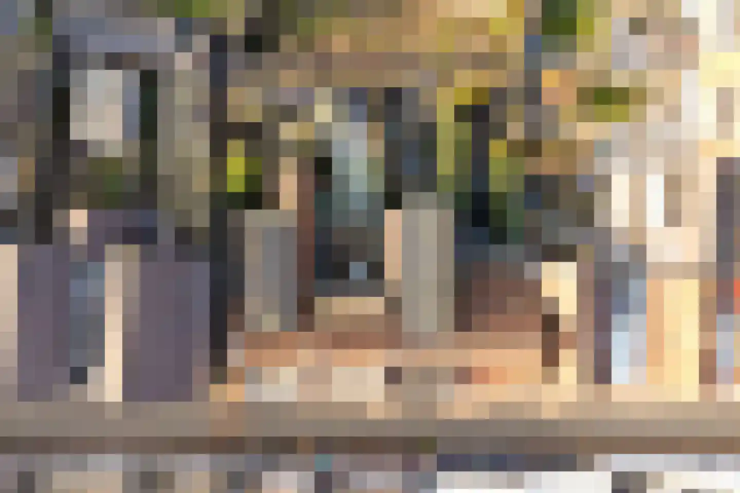 Cornelis Eversdijkstraat 14 Goes thumbnail 31