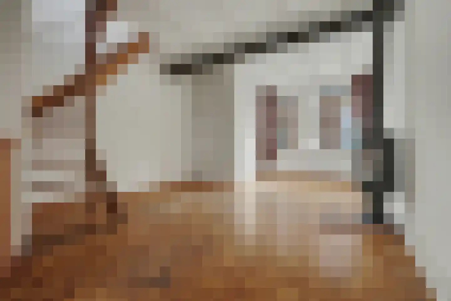 Cornelis Eversdijkstraat 14 Goes thumbnail 6